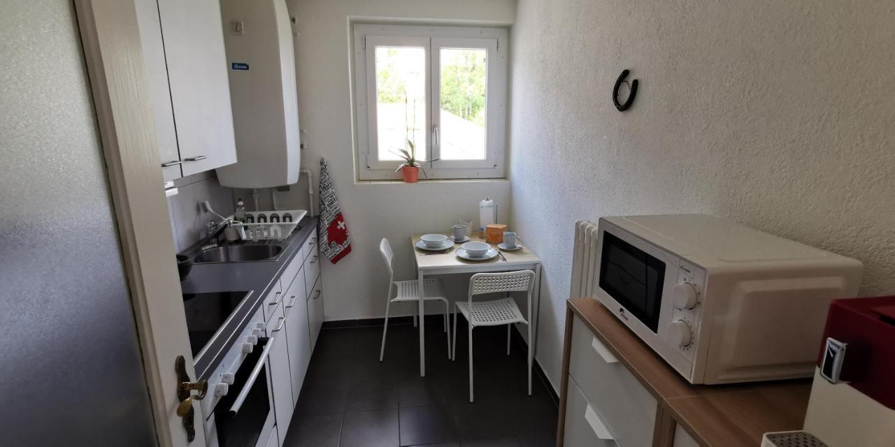 Helvetia 2 Zimmer Apartment Mit Parkplatz Цюрих Экстерьер фото
